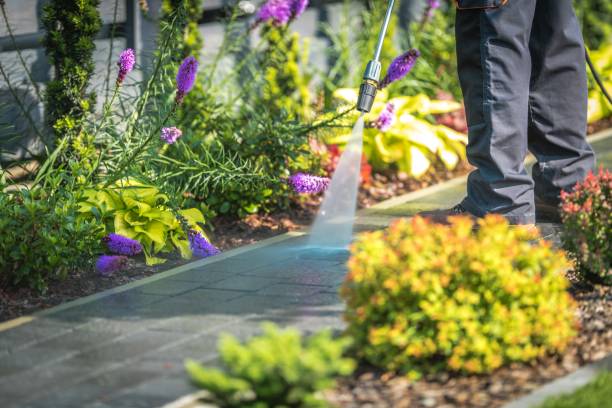 Best Post-Construction Pressure Washing  in Elk Grove, CA